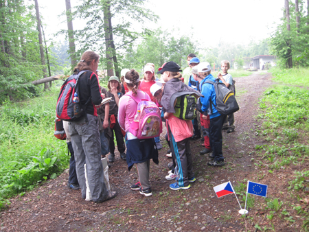 2AZalesnimistrasidylky (27)